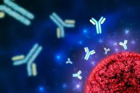 Gamopatia monoclonal de Significado Renal: o conceito que transformou a abordagem da lesão renal associada a gamopatias